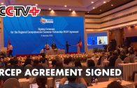 Asia-Pacific Countries Launch World’s Biggest Free Trade Bloc with RCEP Deal Signed