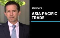 Australia to sign onto a 15 nation Asia-Pacific trade deal | ABC News